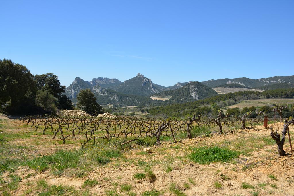 Bed and Breakfast Mas De Carabelle La Roque-Alric Exterior foto